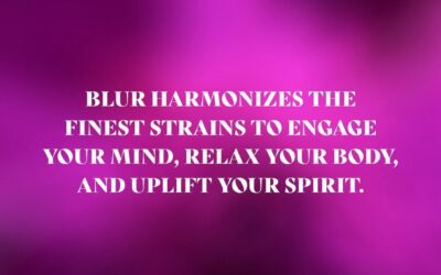 We’re excited to share that BLUR will be available soon… and it’s going to be blurry fantastic…